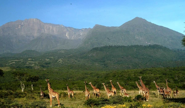 MOMELA ROUTE - CLIMBING MOUNT MERU 