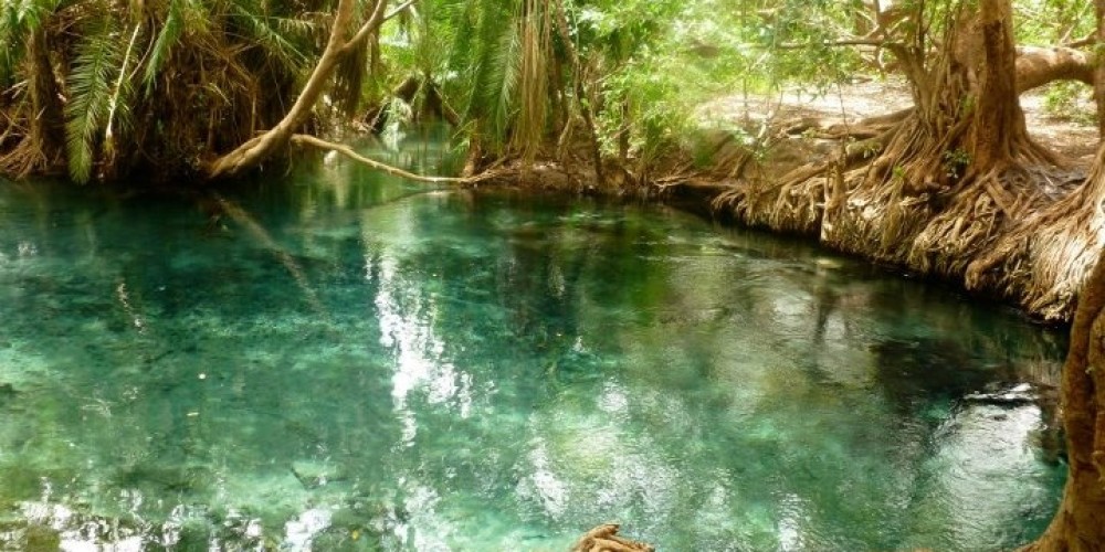 Kikuletwa Hot Springs