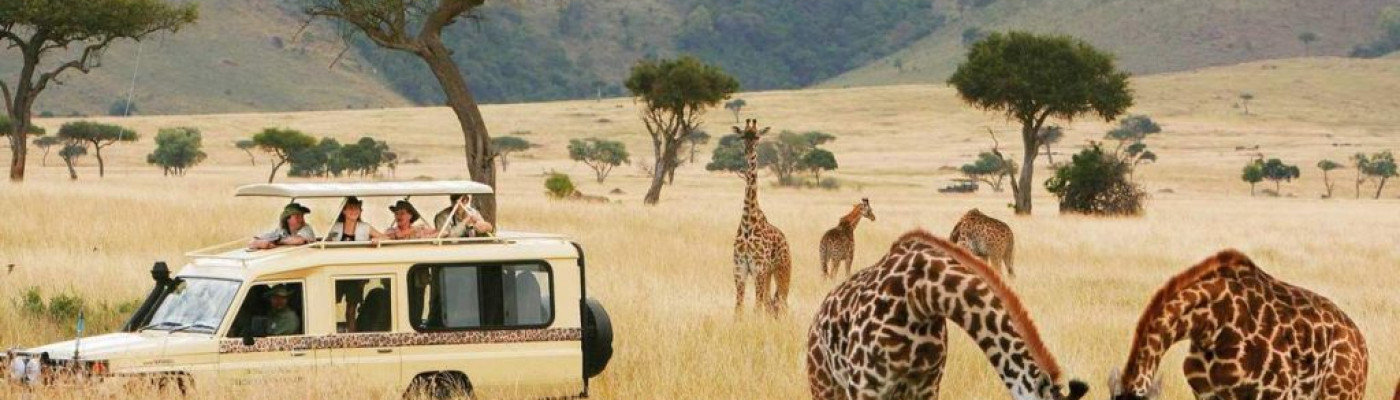  Explore the Heart of the Serengeti